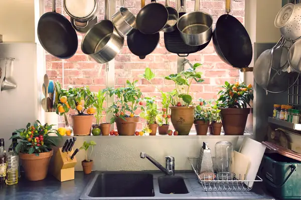 natural kitchen design